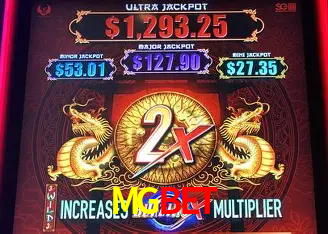 A Experiência Imersiva dos Cassinos Ao Vivo no MGBET